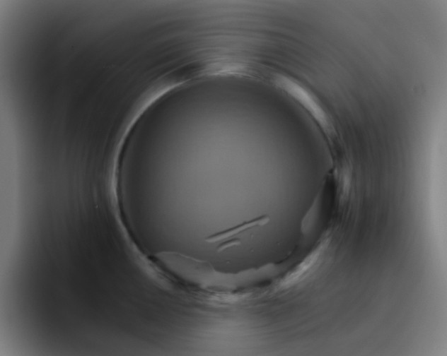 X0000093221050200710101341