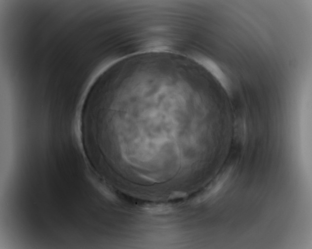 X0000093221051200710101341