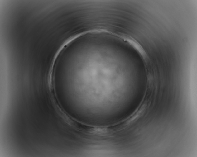 X0000093221052200710101341