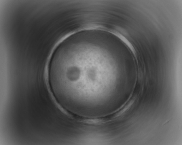 X0000093221053200710101341