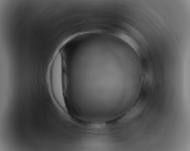 X0000093221055200710101341