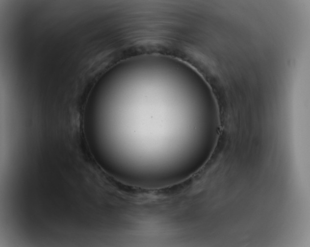 X0000093221061200710101341