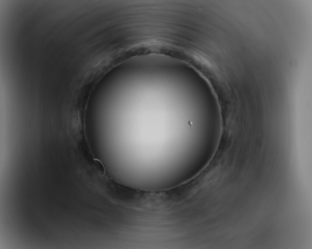 X0000093221062200710101341