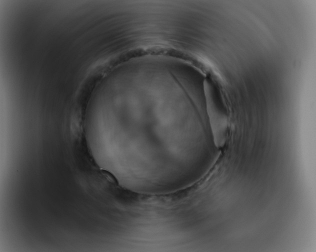 X0000093221063200710101341