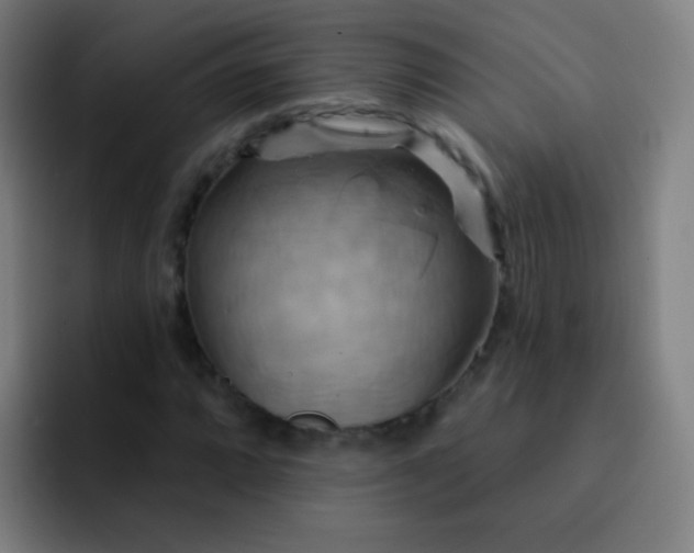 X0000093221064200710101341