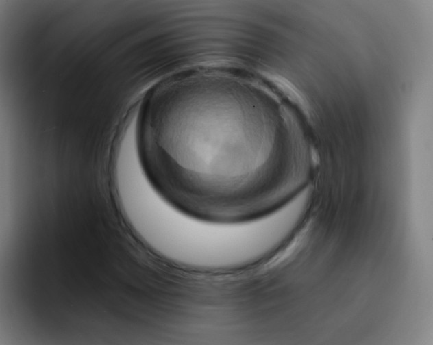 X0000093221065200710101341