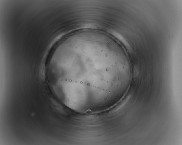 X0000093221067200710101341