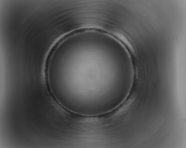 X0000093221068200710101341