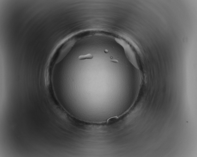 X0000093221069200710101341