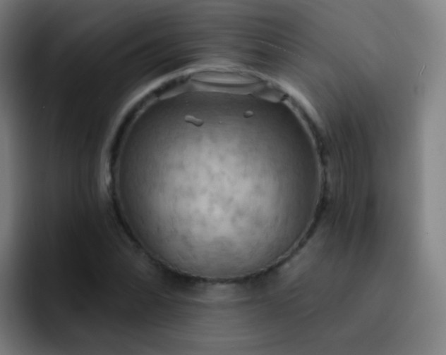 X0000093221070200710101341