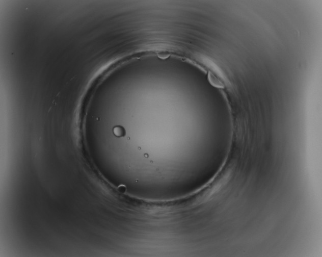 X0000093221071200710101341