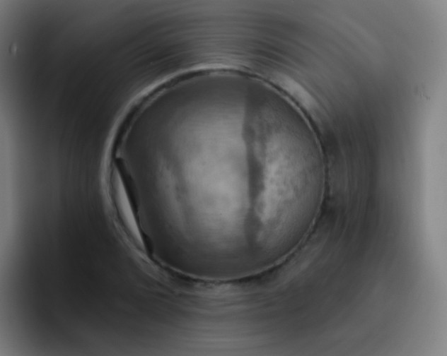 X0000093221072200710101341