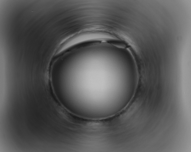 X0000093221073200710101341