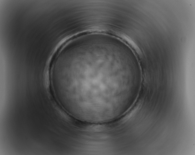 X0000093221075200710101341