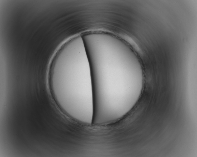 X0000093221076200710101341