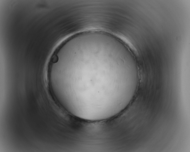 X0000093221078200710101340