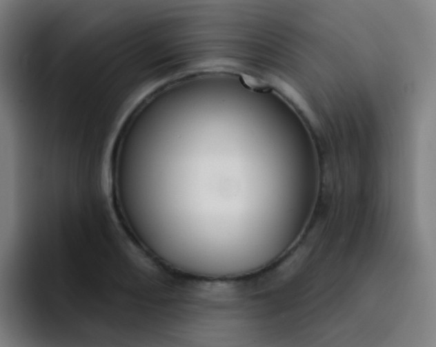 X0000093221082200710101340