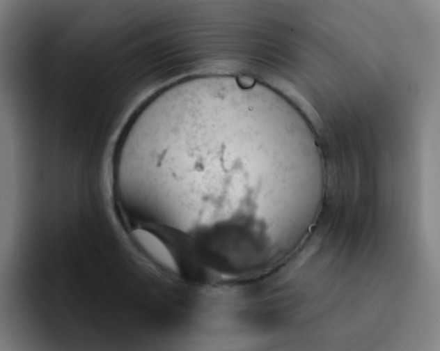 X0000093221083200710101340