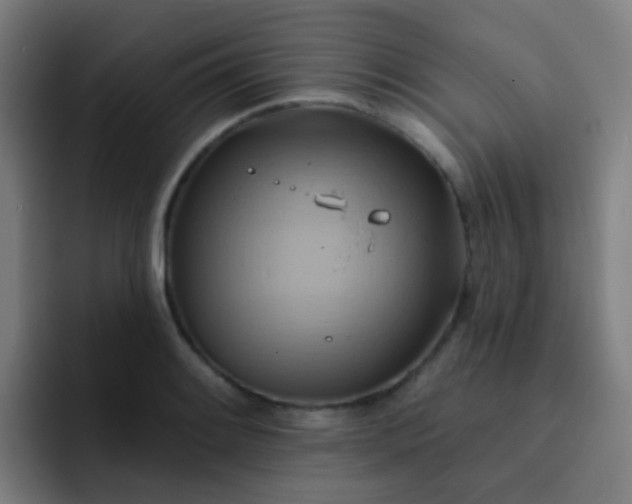 X0000093221084200710101340