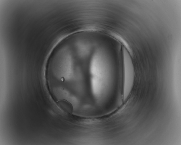 X0000093221091200710101340