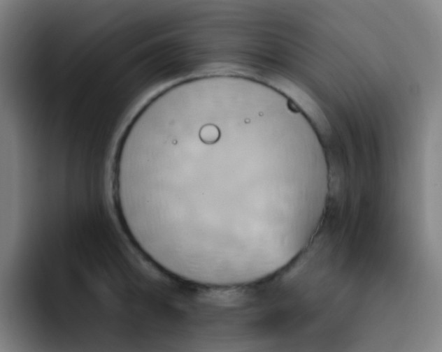 X0000093221094200710101340