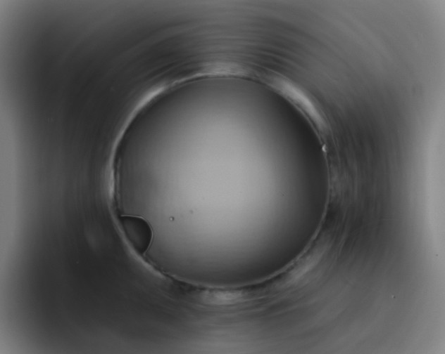 X0000093221095200710101340