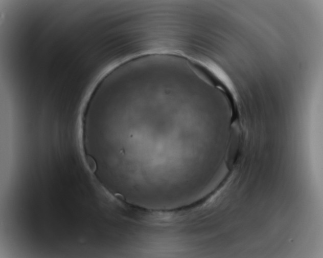 X0000093221096200710101340