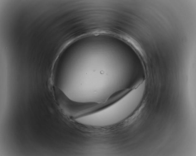 X0000093221097200710101340