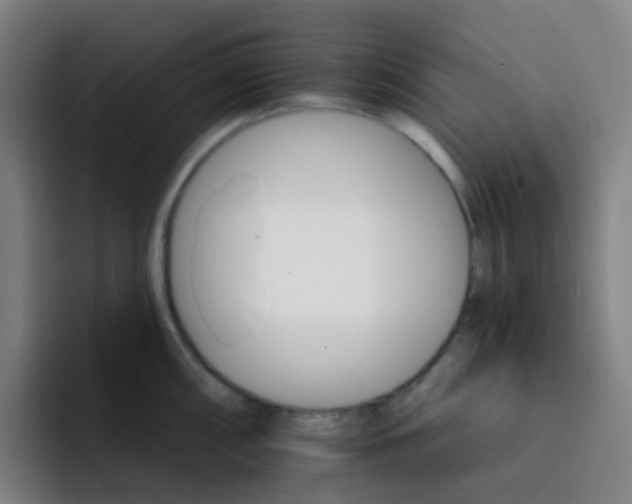 X0000093221098200710101340