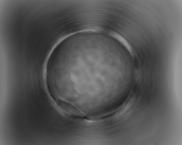 X0000093221099200710101340