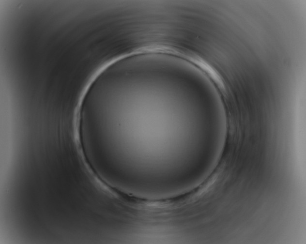 X0000093221102200710101340