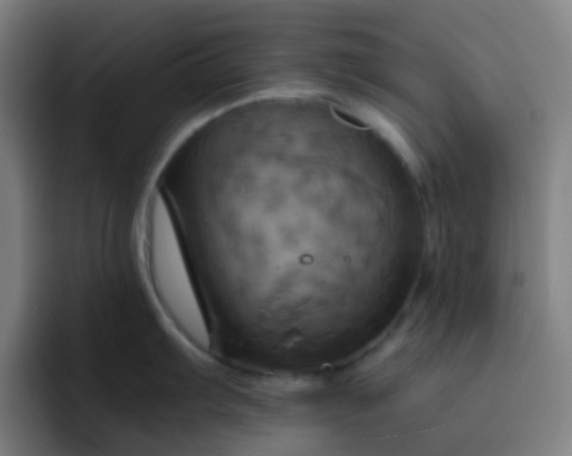 X0000093221103200710101340