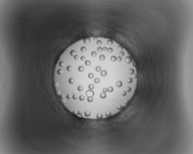 X0000093221105200710101340