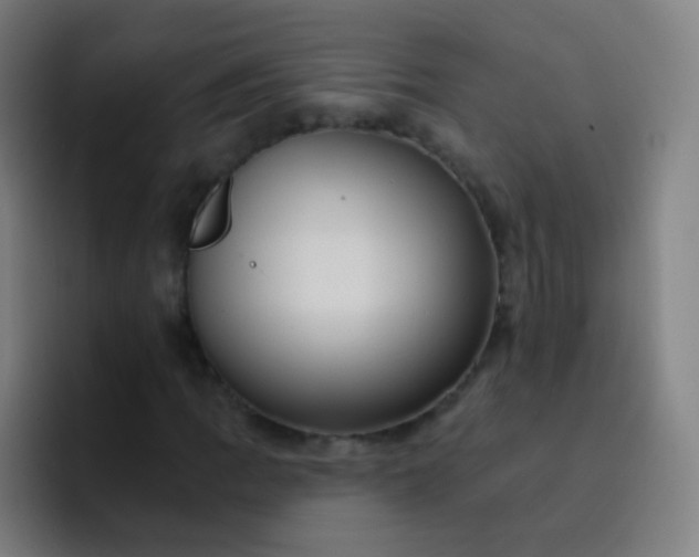 X0000093221109200710101340