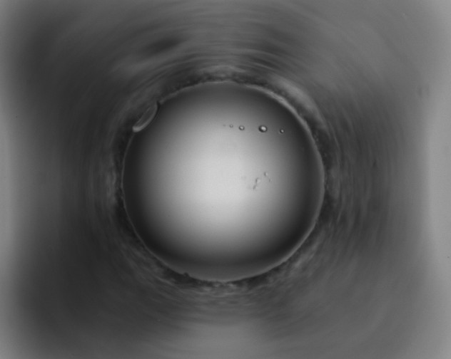 X0000093221111200710101340