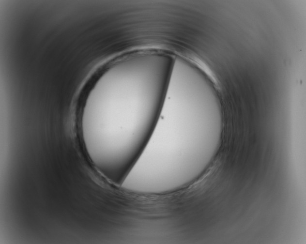 X0000093221116200710101340