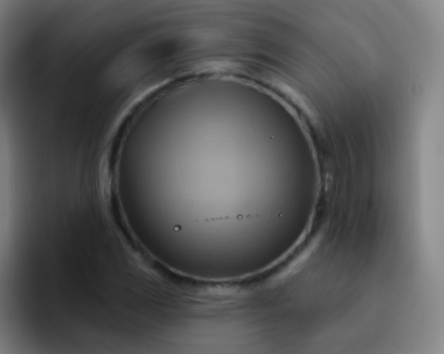 X0000093221117200710101340