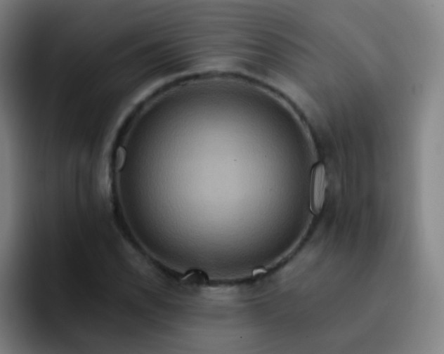 X0000093221118200710101340