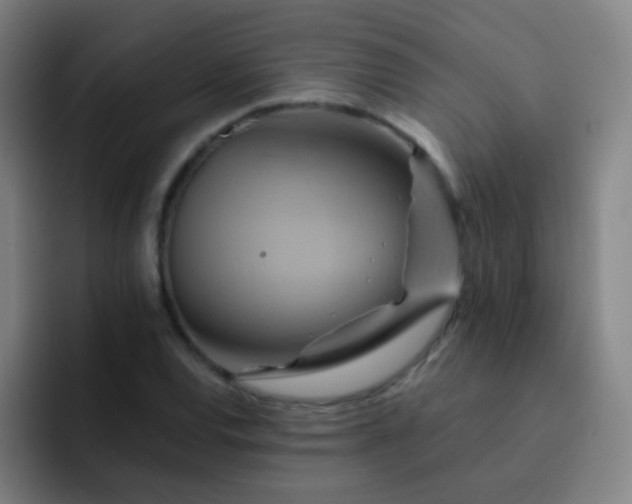 X0000093221120200710101340