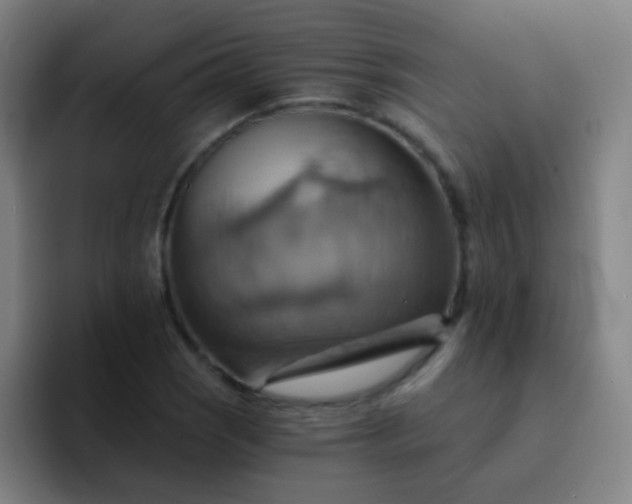 X0000093221121200710101340