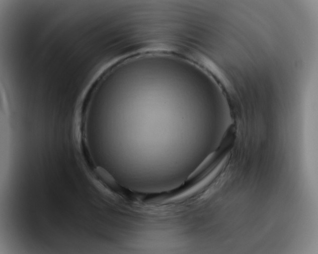 X0000093221124200710101340