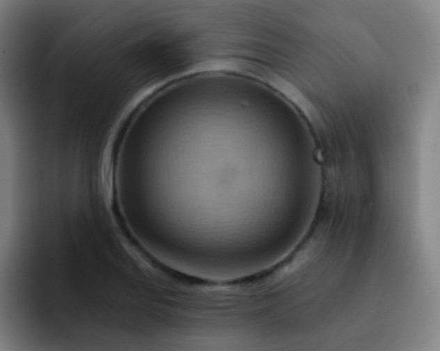 X0000093221127200710101340