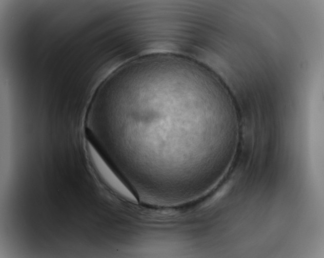 X0000093221129200710101340