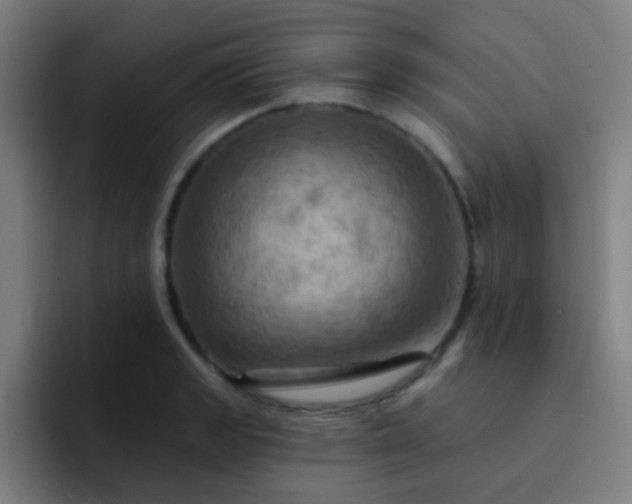 X0000093221133200710101340