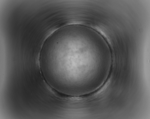 X0000093221137200710101340