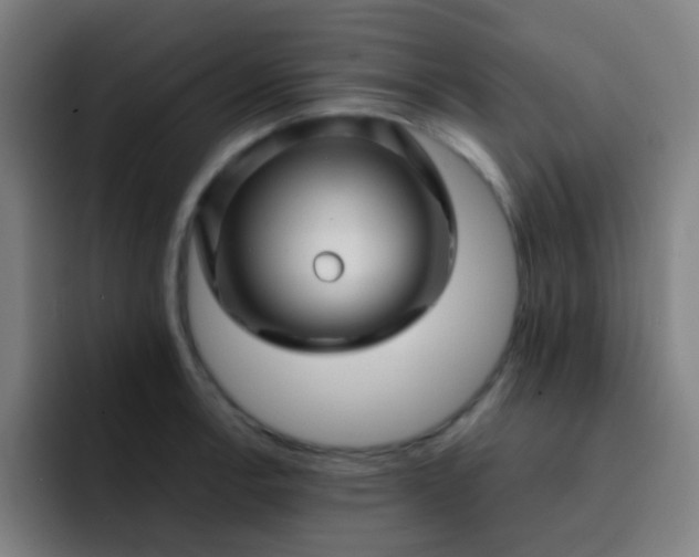 X0000093221138200710101340