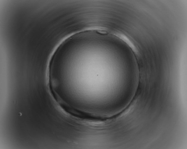 X0000093221140200710101340