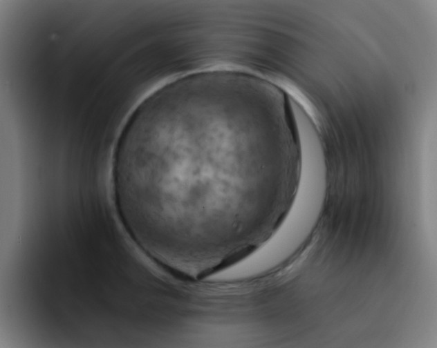 X0000093221142200710101340