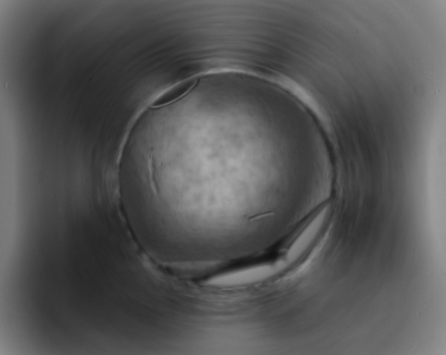 X0000093221145200710101340