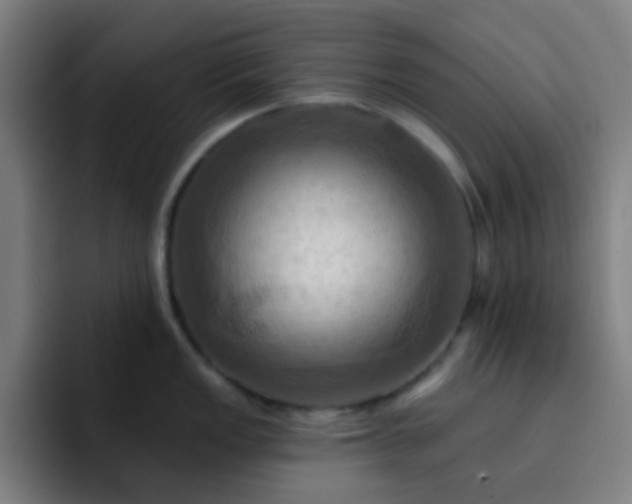 X0000093221149200710101340